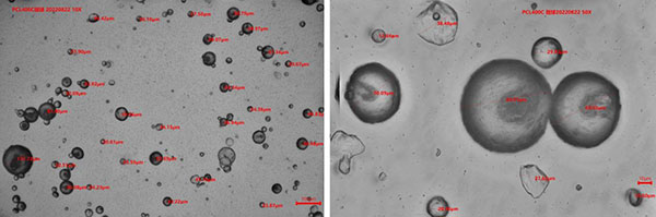 PCL 400C 微球粒徑分布示意圖（10X/50X）