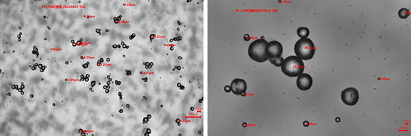 PCL 100C 微球粒徑分布示意圖（10X/50X）